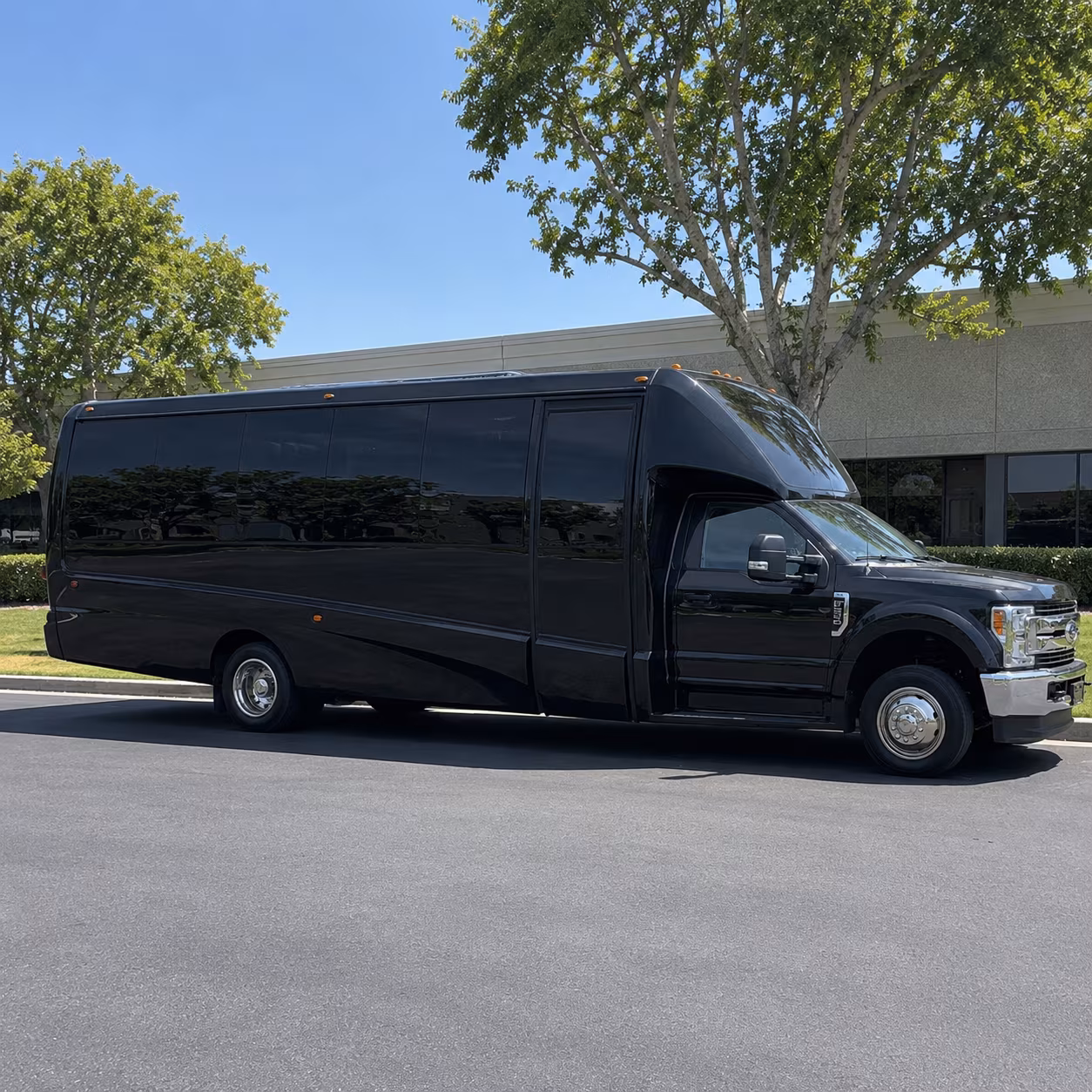 birthday party bus rental